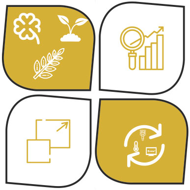 LIGNOCELULOZNI MATERIJALI